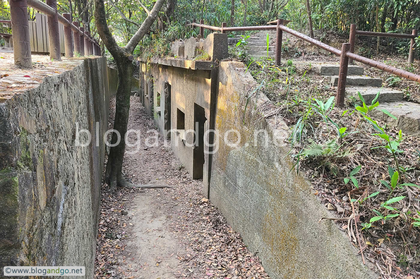 Pinewood Battery - Splinter Proof Shelters